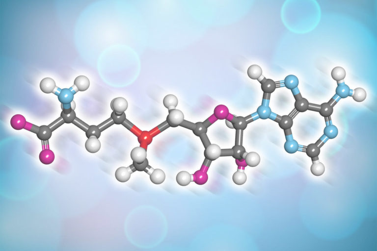 Molecola SAMe, la molecola che regola il tono dell'umore