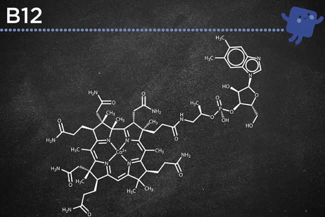 Integratori vitamina B12