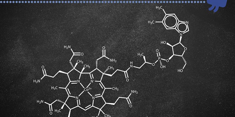 Integratori vitamina B12